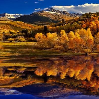 国际能源署：伊朗战争构成