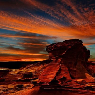 银行春招进行时：科技岗全面渗透，新兴业务人才储备起步