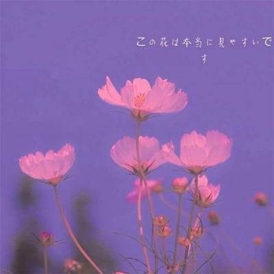 杏盛平台（官方）综合娱乐APP下载